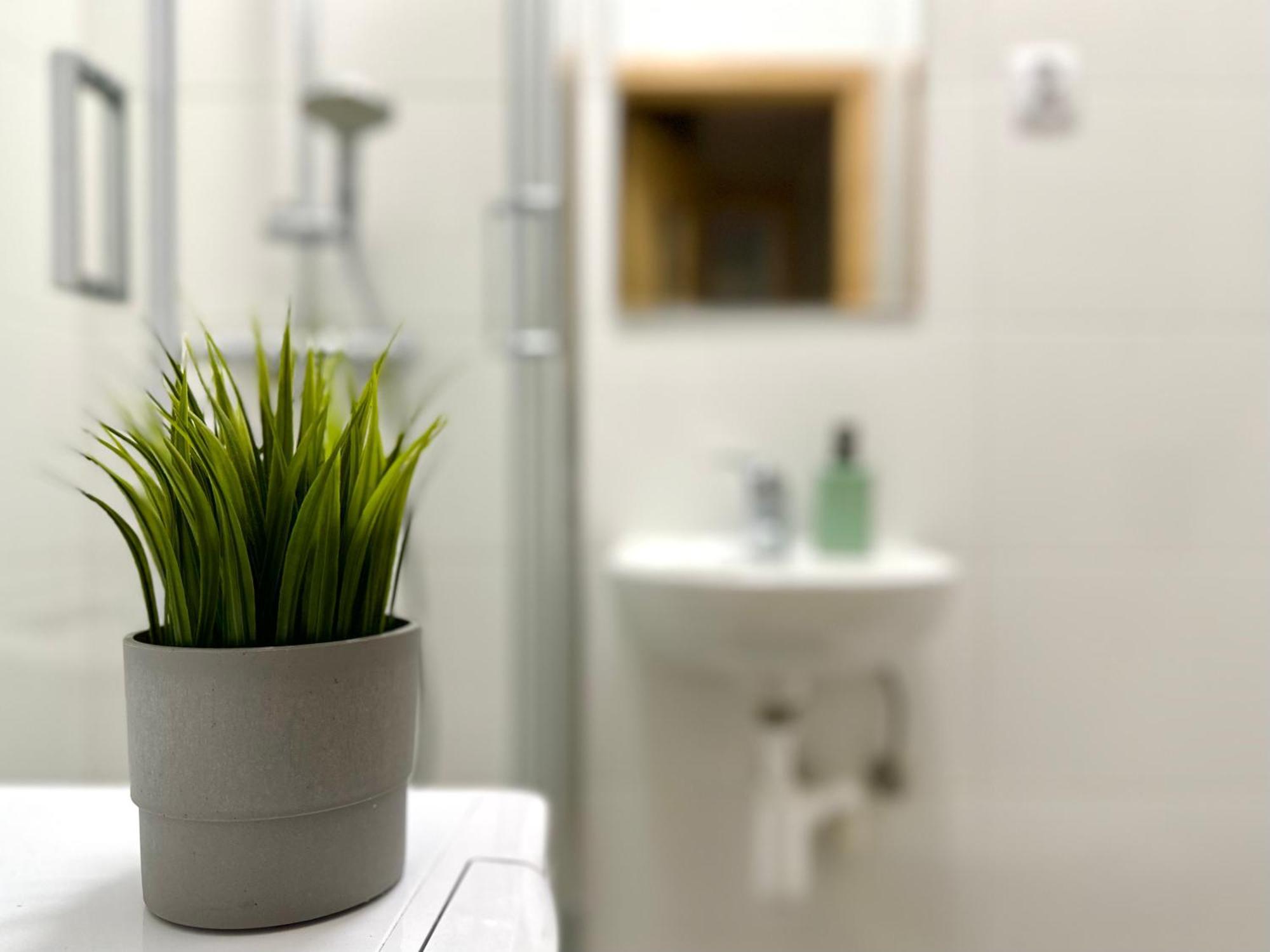 Mmrent Spring Room غدانسك المظهر الخارجي الصورة
